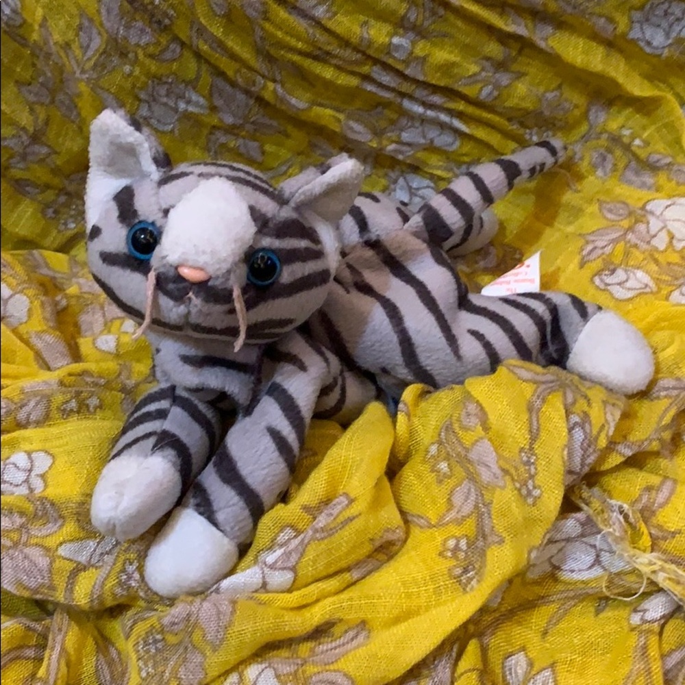 Prance the Cat TY Beanie Baby